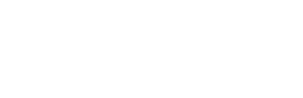 Revollution
